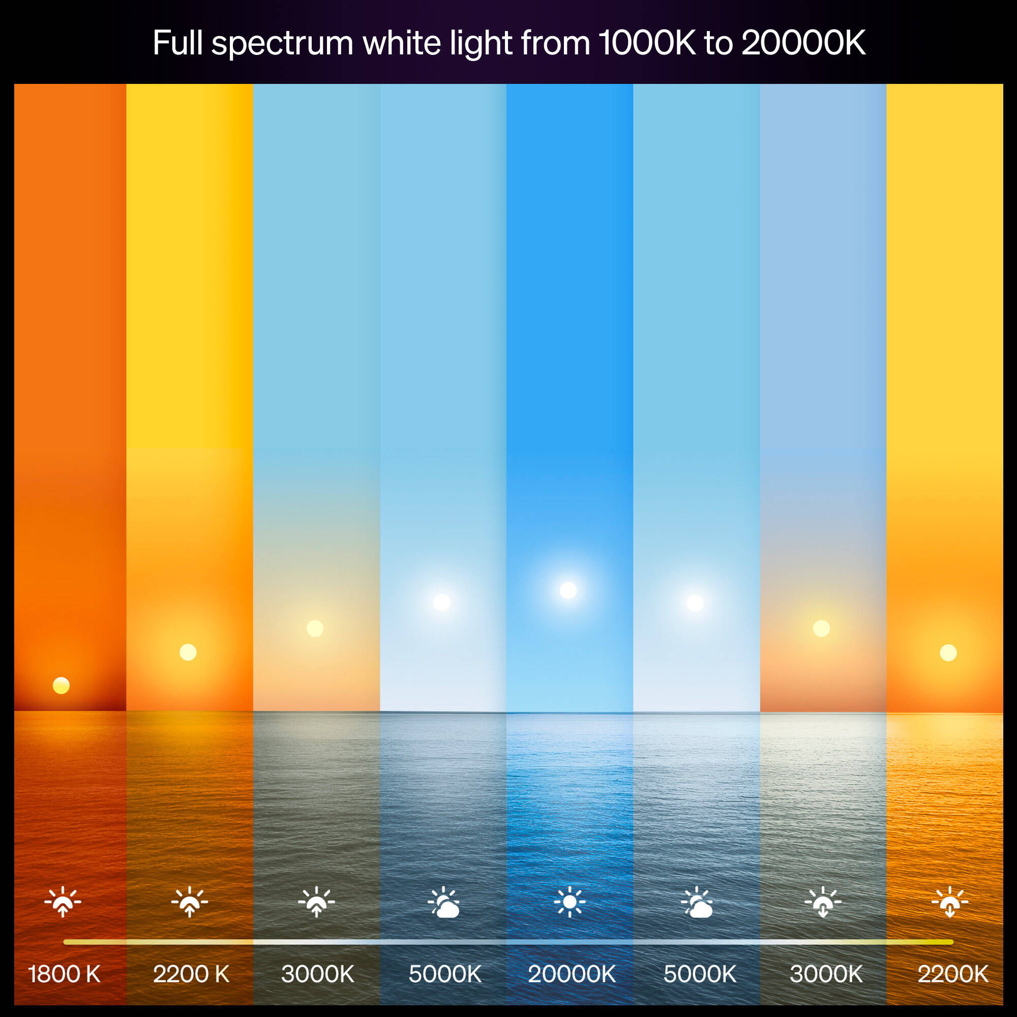 Philips Hue Smart LED A19 Bulb with Matter and Bluetooth In White Ambiance (2-Pack) - 591131