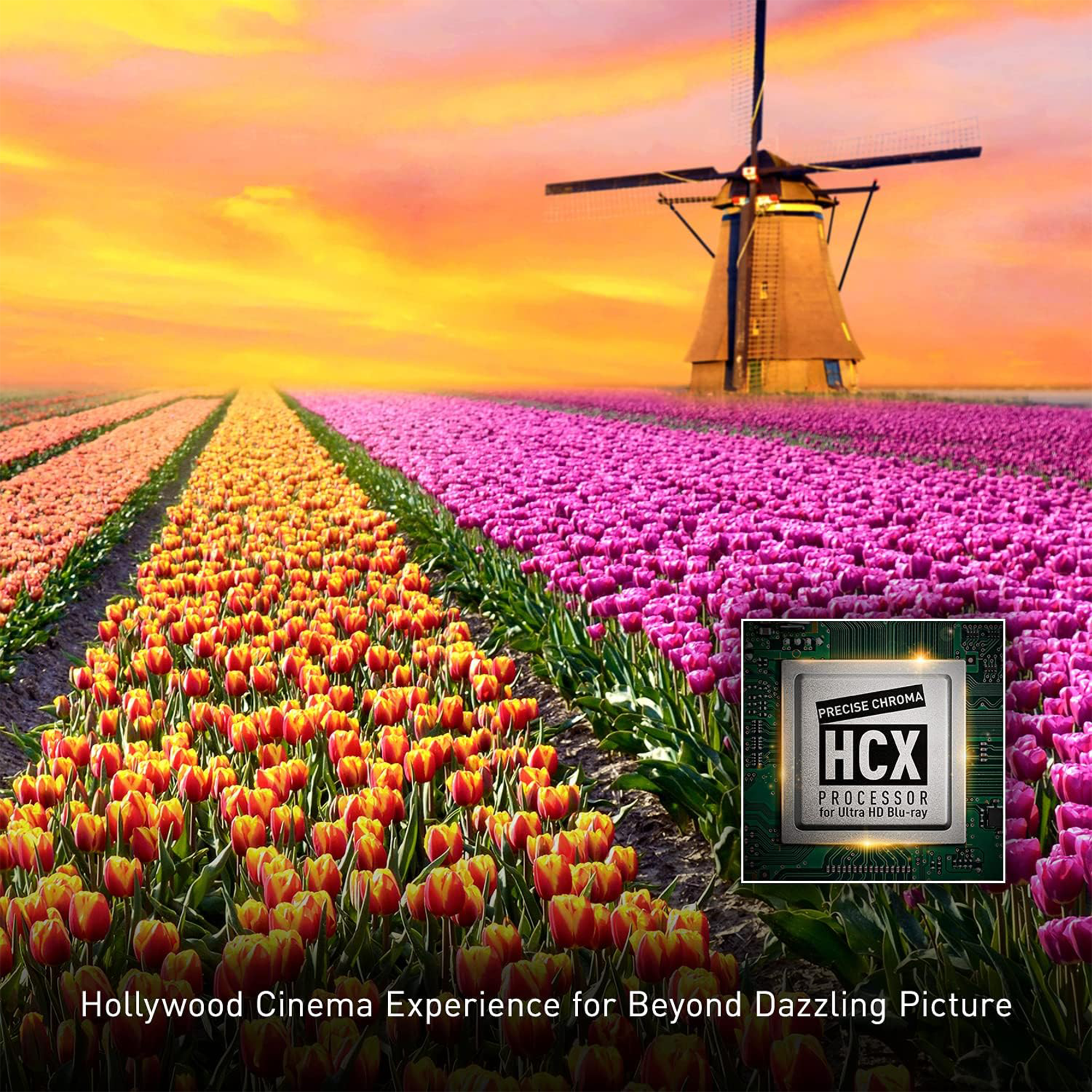 Panasonic DP-UB820-K HDR 4K UHD Network Blu-ray Player
