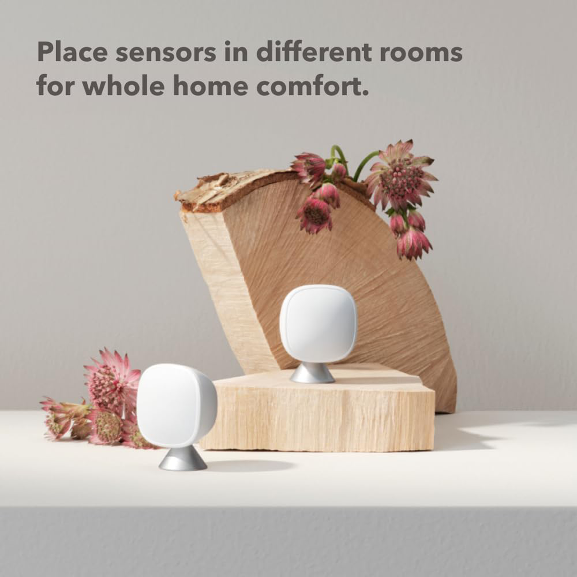 ecobee SmartSensor (2-Pack)