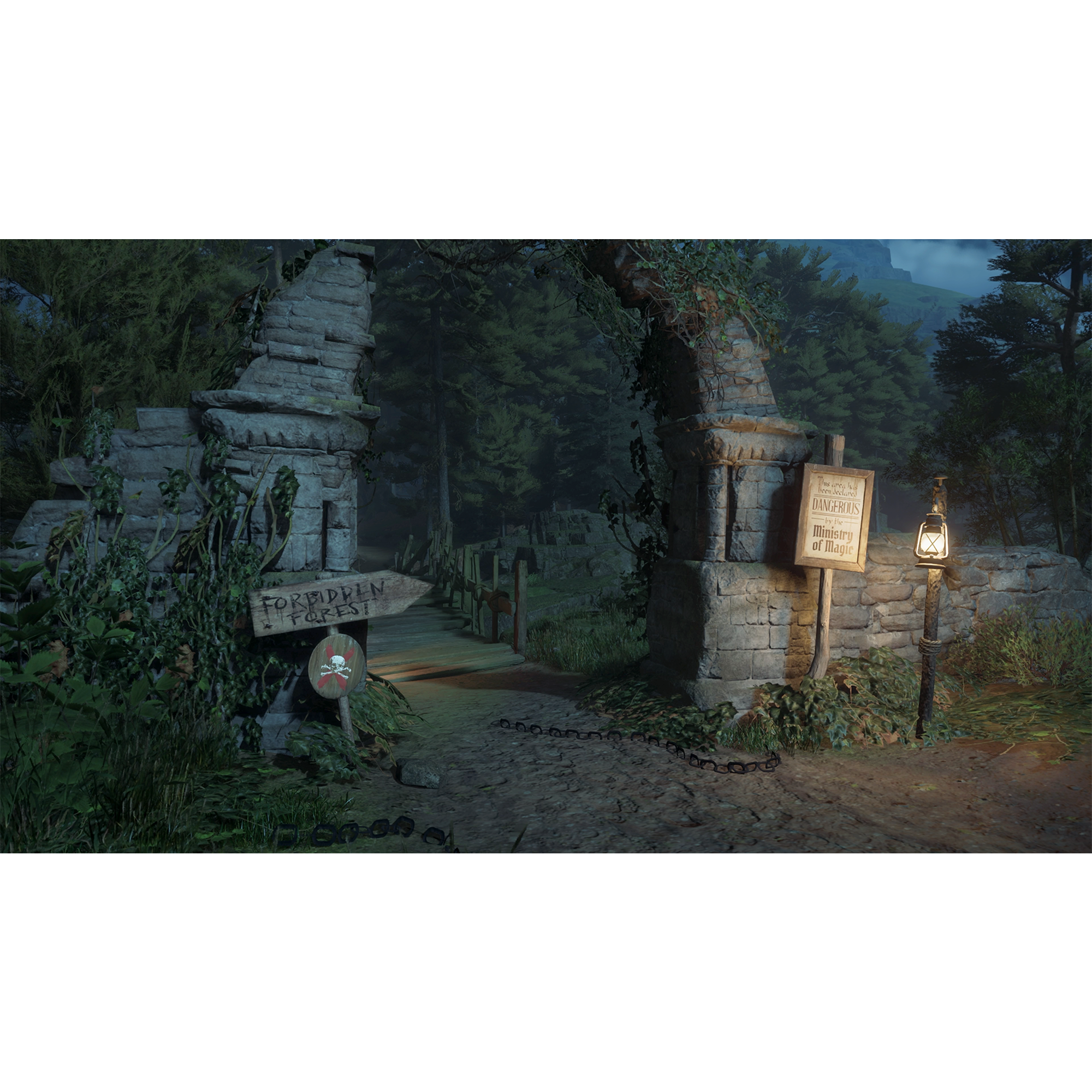 Hogwarts Legacy - Nintendo Switch 2