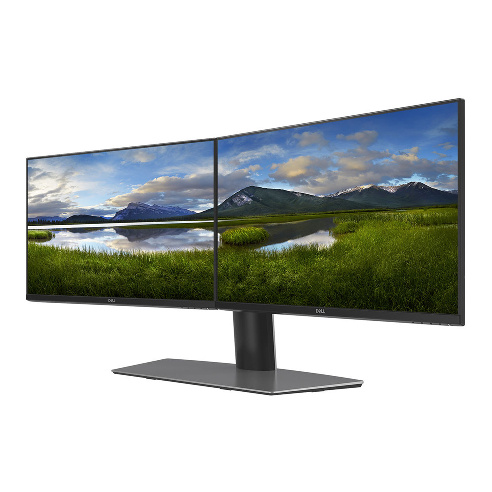 Dell MDS19 Dual Monitor Stand