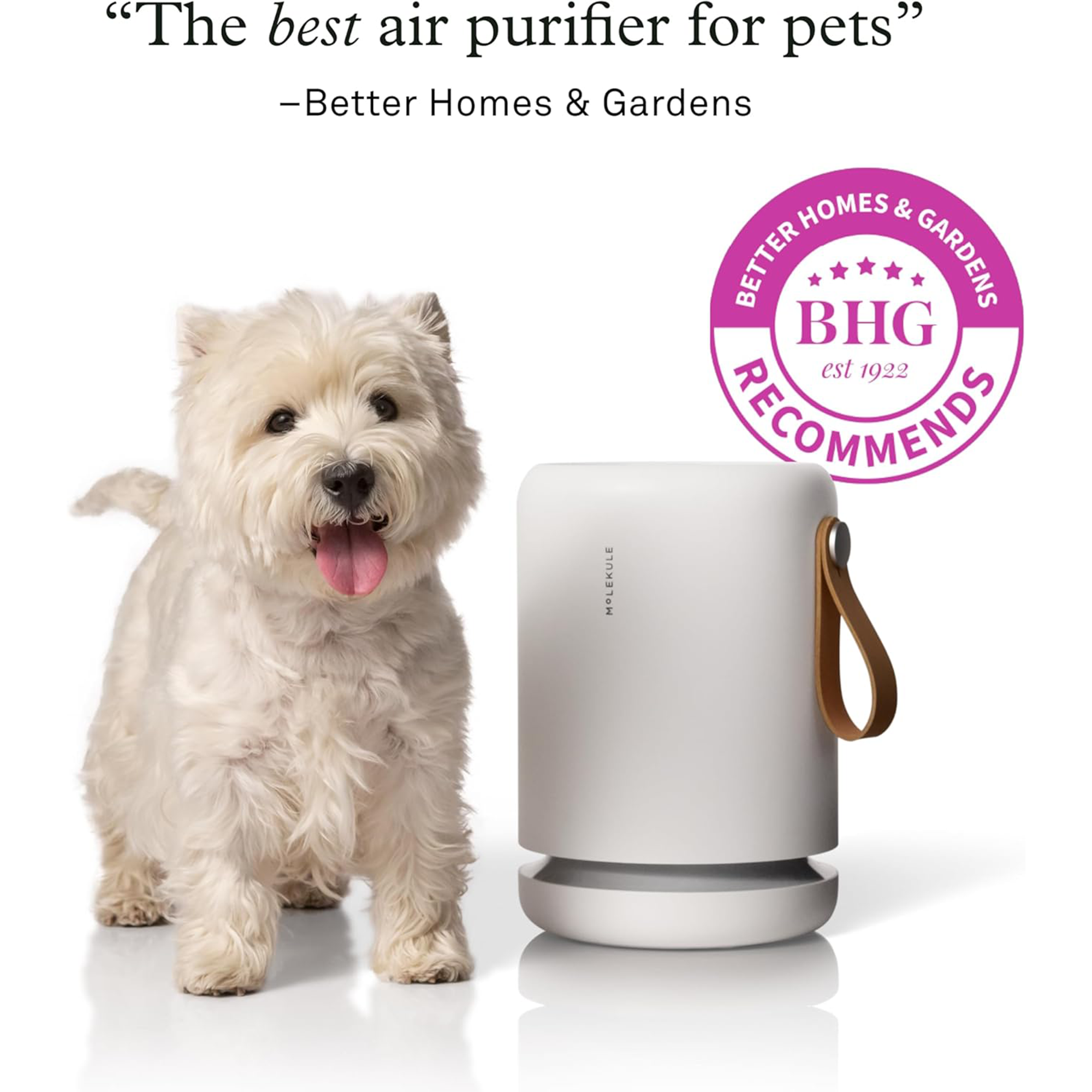 Molekule Air Mini+ Smart Air Purifier with PECO-HEPA Tri-Power Filter