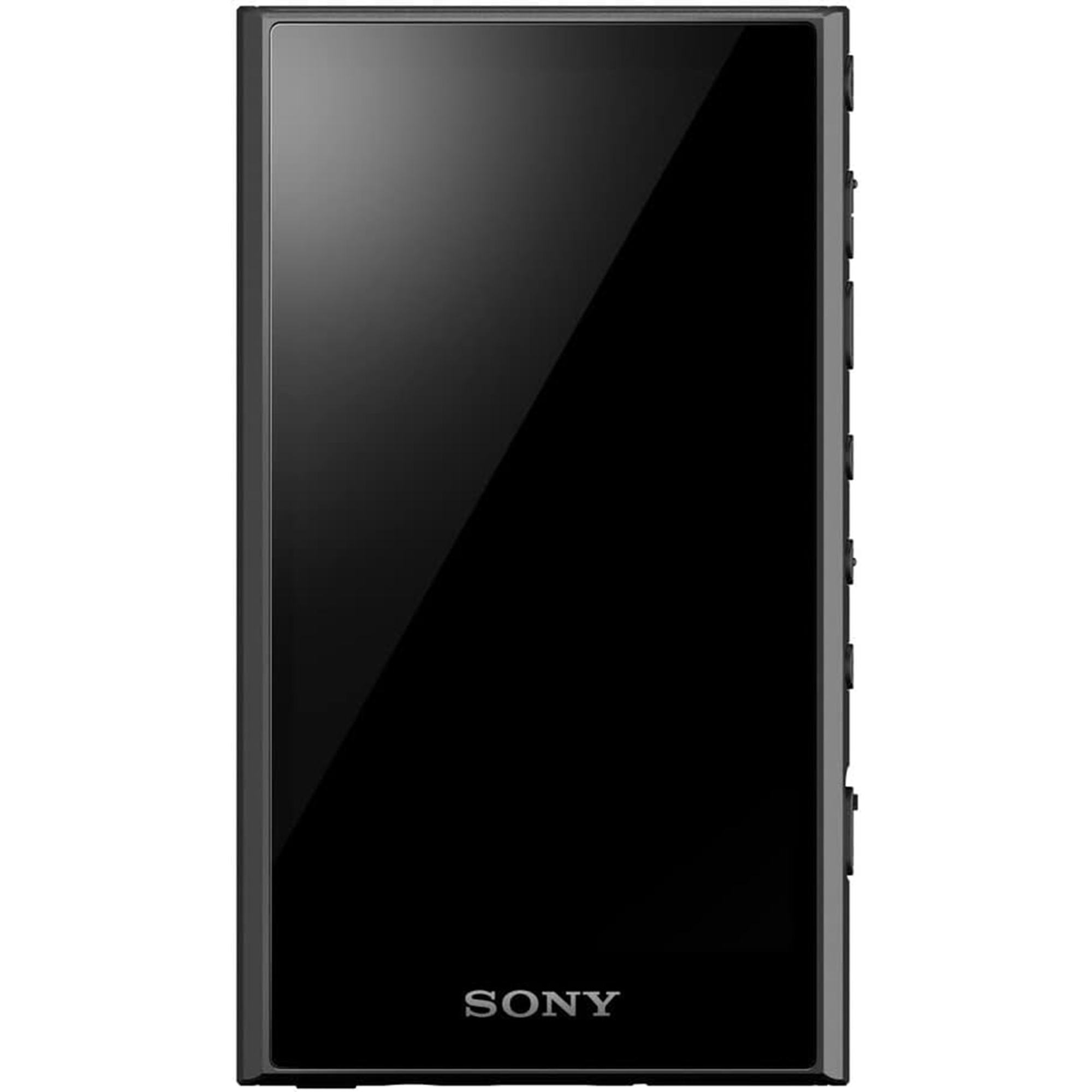 Sony NW-A306 Walkman A Series High-Resolution Digital Audio Player (Black)