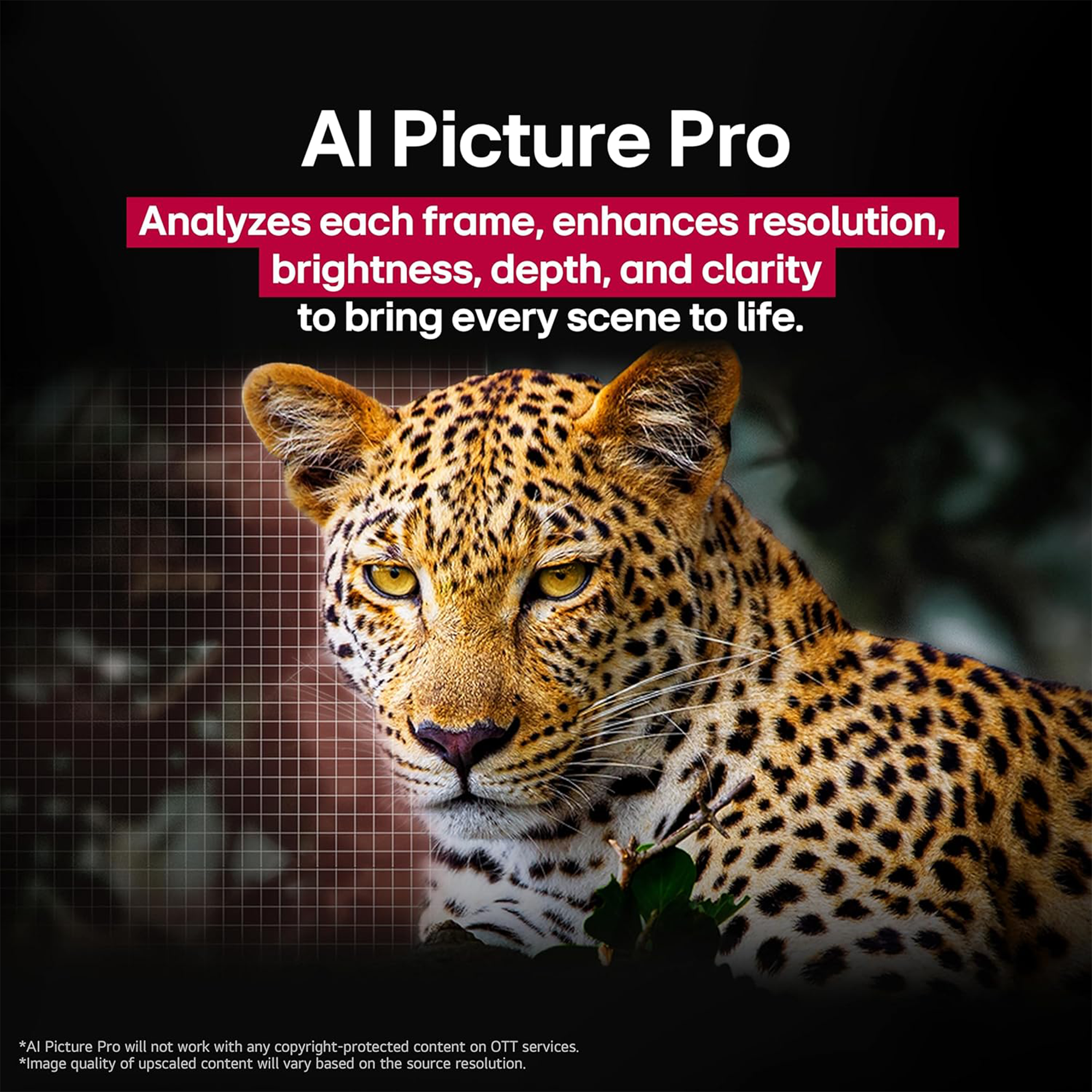 LG OLED evo AI G5 4K 97-Inch Smart TV with Supplied Wall Mount - OLED97G5WUA