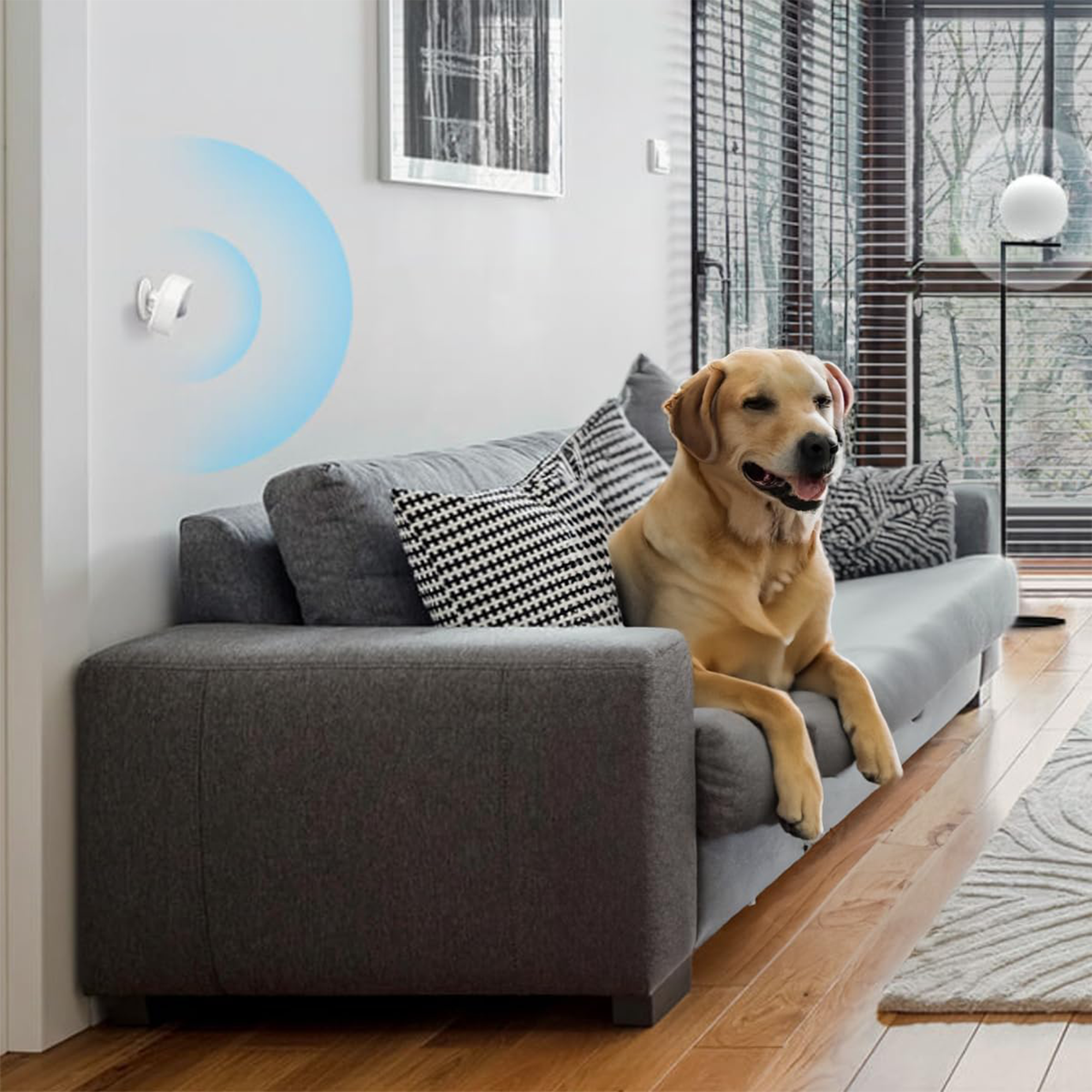 TP-Link Tapo T100 Smart Motion Sensor