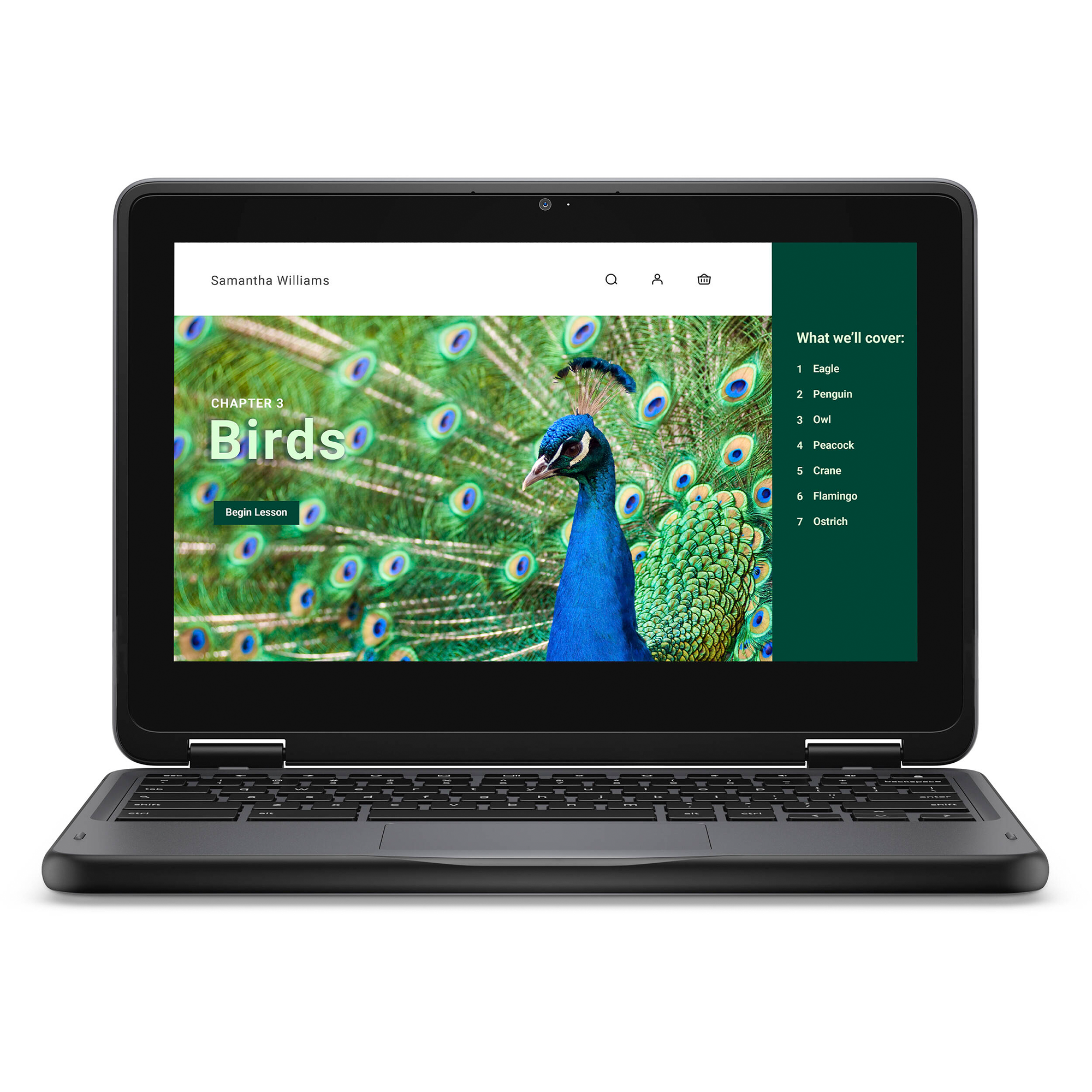 Dell Chromebook 3000 3120 11.6" Touchscreen Convertible 2 in 1 Chromebook - HD - 60 Hz - Intel N-Series N100 - 4 GB RAM- 64 GB Flash Memory - English (US) Keyboard