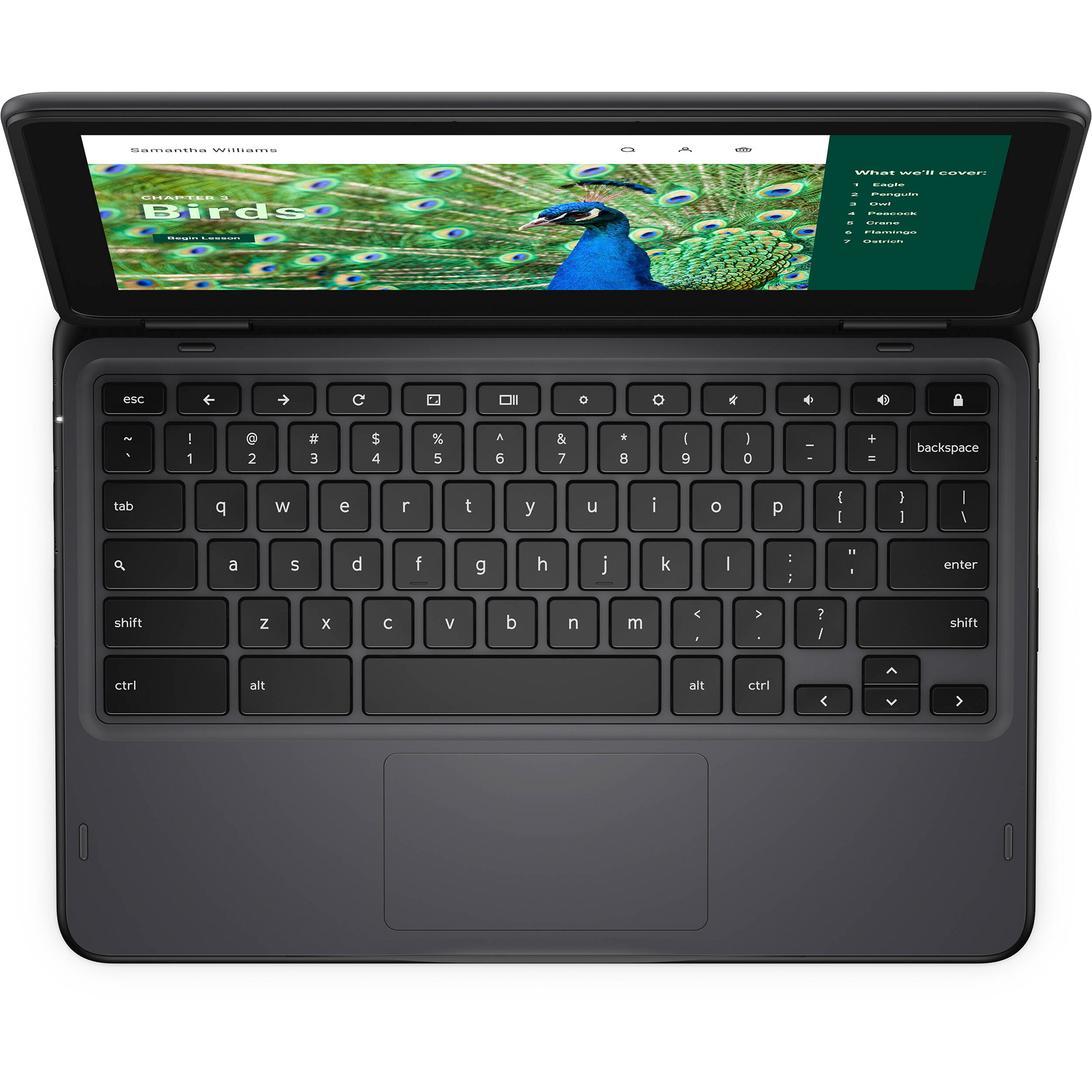 Dell Chromebook 3000 3120 11.6" Touchscreen Convertible 2 in 1 Chromebook - HD - 60 Hz - Intel N-Series N100 - 4 GB RAM- 64 GB Flash Memory - English (US) Keyboard