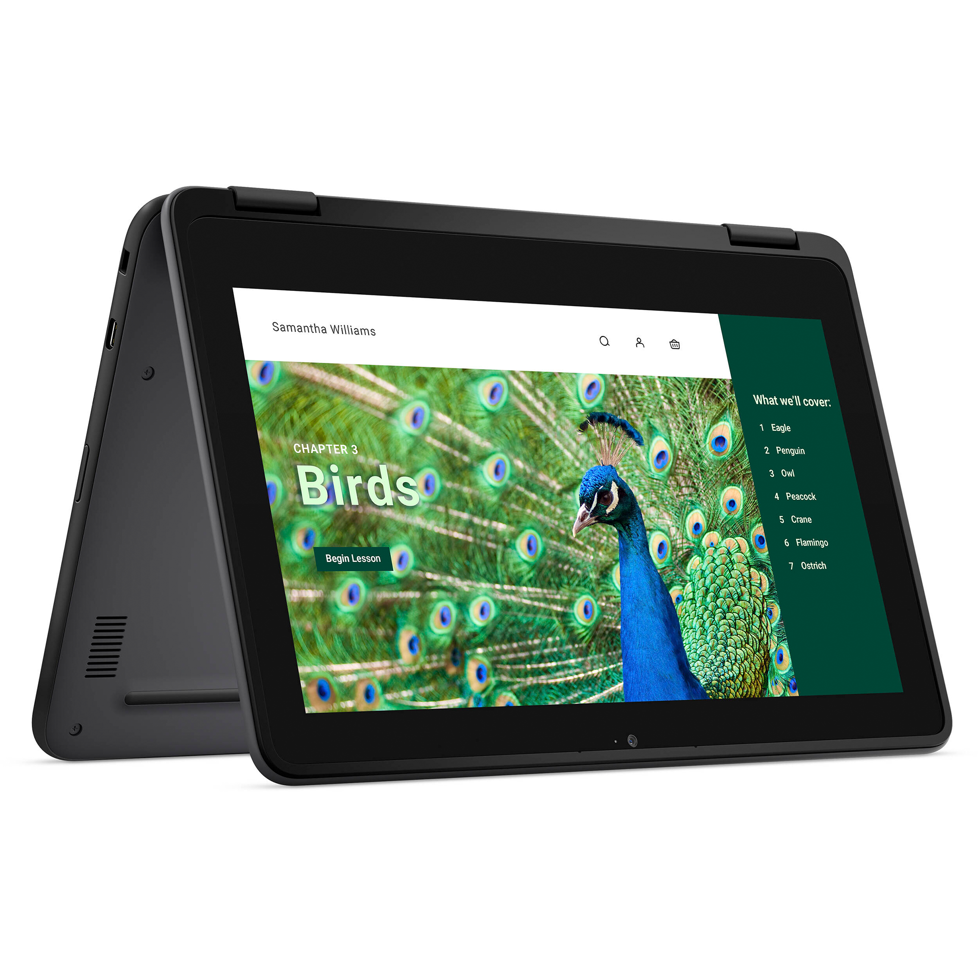 Dell Chromebook 3000 3120 11.6" Touchscreen Convertible 2 in 1 Chromebook - HD - 60 Hz - Intel N-Series N100 - 4 GB RAM- 64 GB Flash Memory - English (US) Keyboard