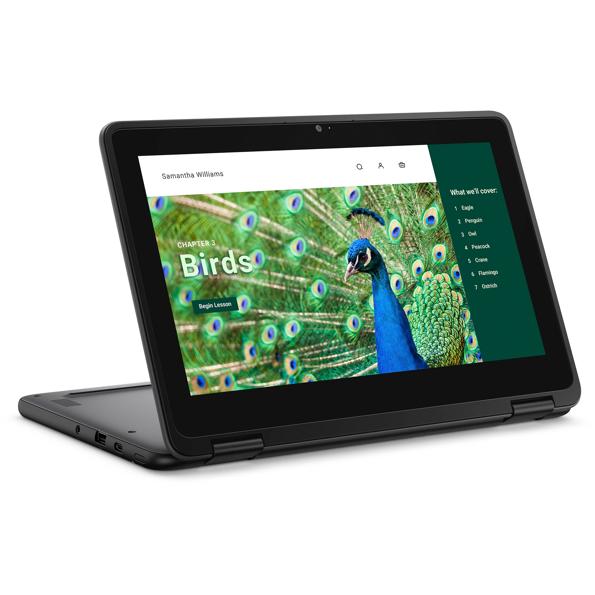 Dell Chromebook 3000 3120 11.6" Touchscreen Convertible 2 in 1 Chromebook - HD - 60 Hz - Intel N-Series N100 - 4 GB RAM- 64 GB Flash Memory - English (US) Keyboard