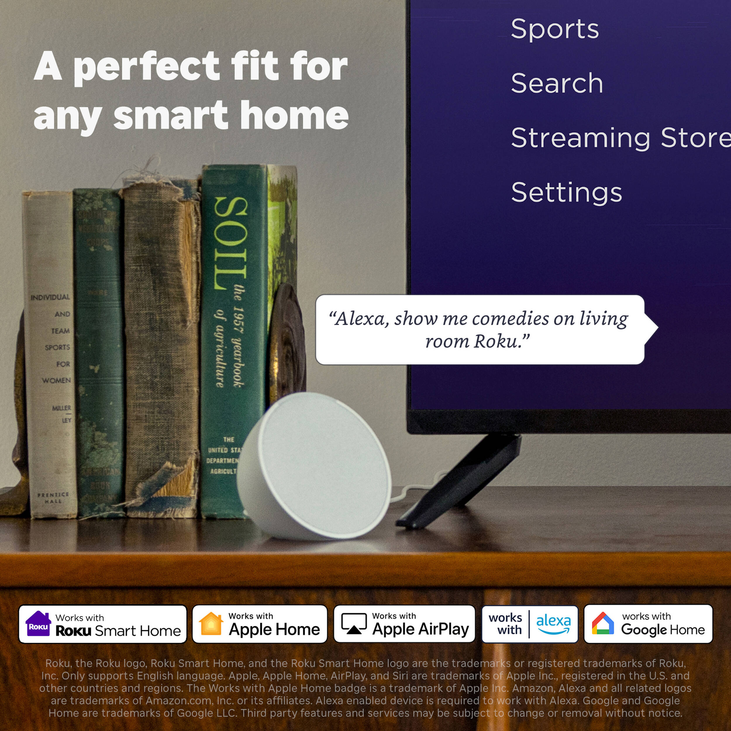 Roku Streaming Stick  - 3840R