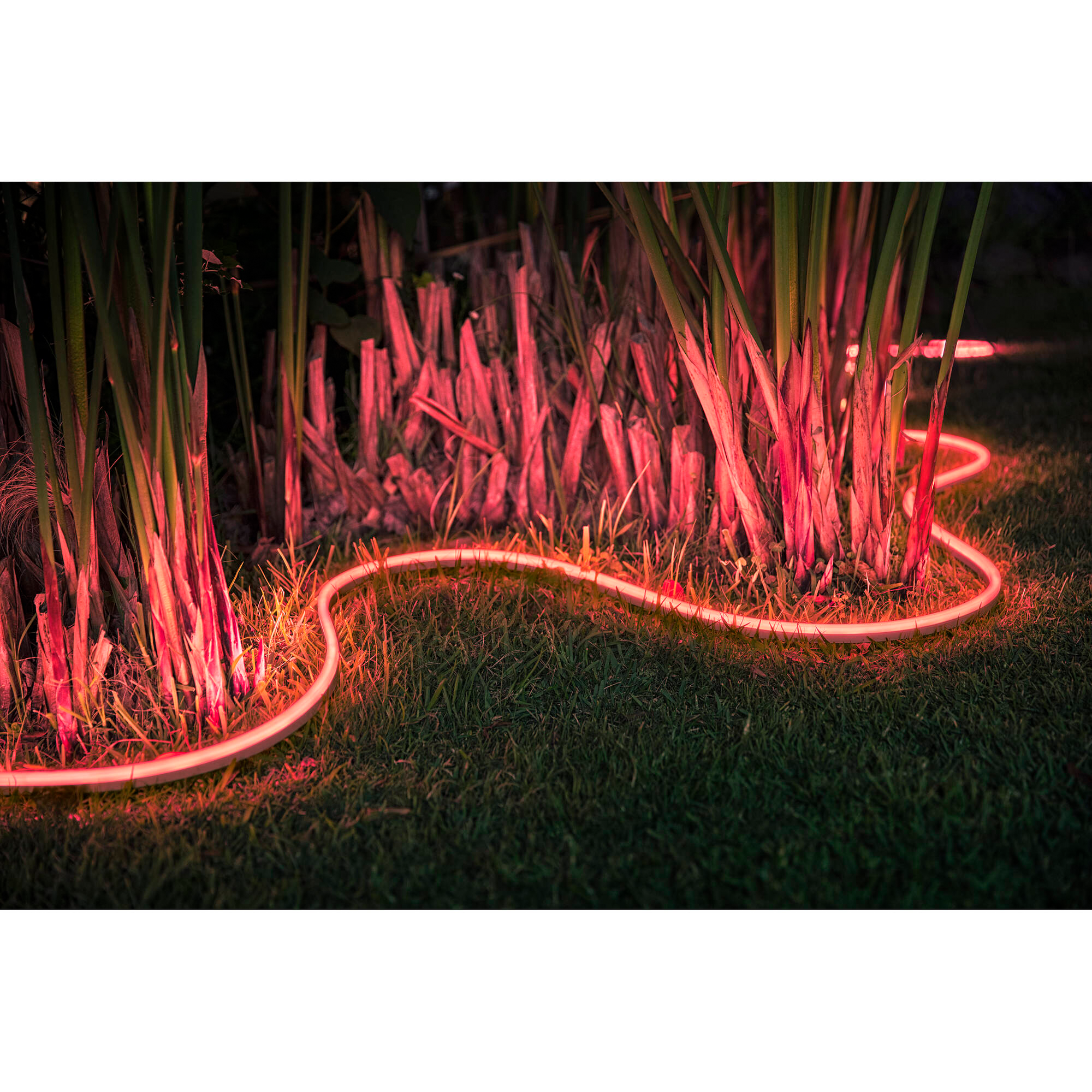 Philips Hue Outdoor 7-Foot Smart LED Light Strip - White and Color Ambiance - 1 Pack