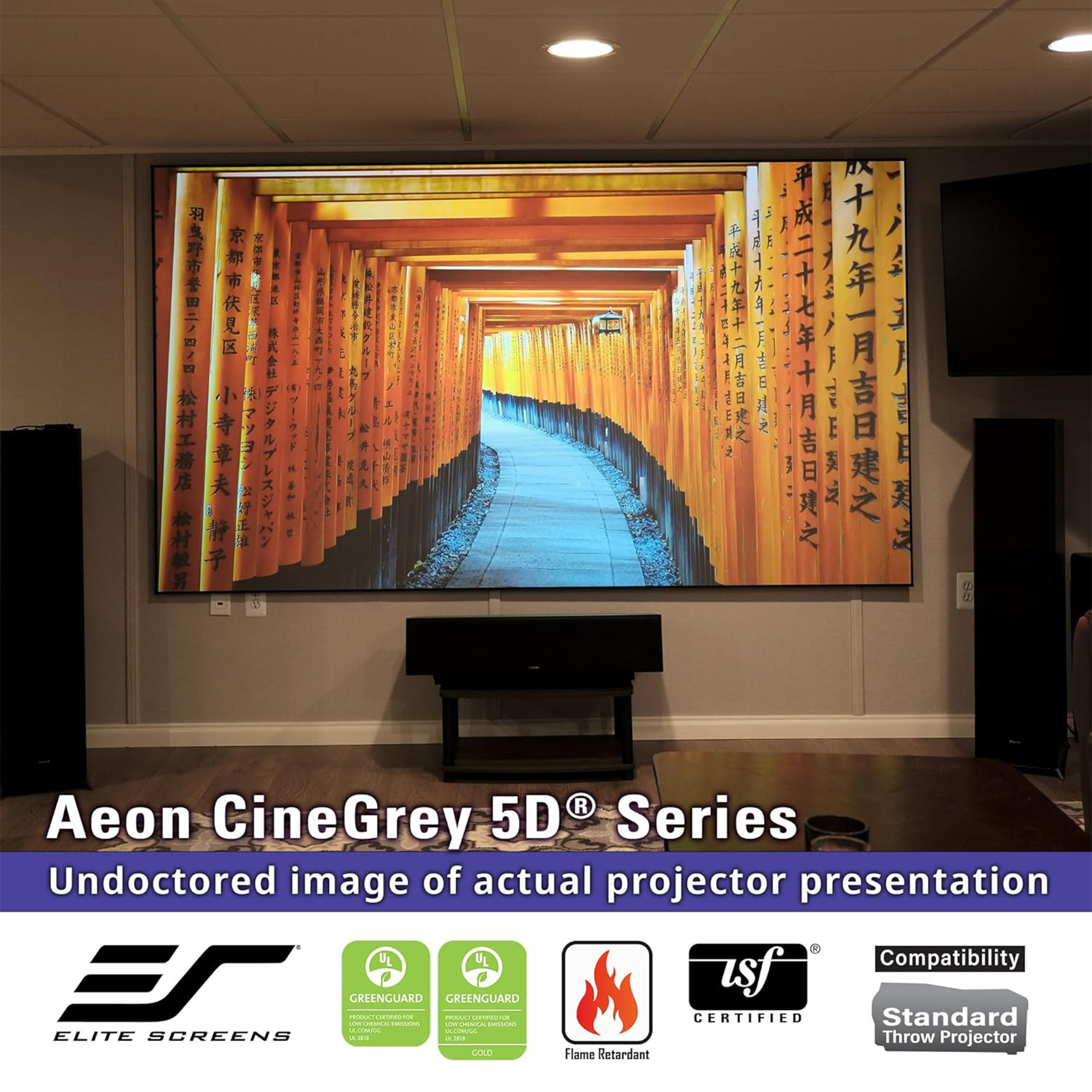 Elite Screens Aeon CineGrey 5D® Series 123" Fixed Frame Projection Screen