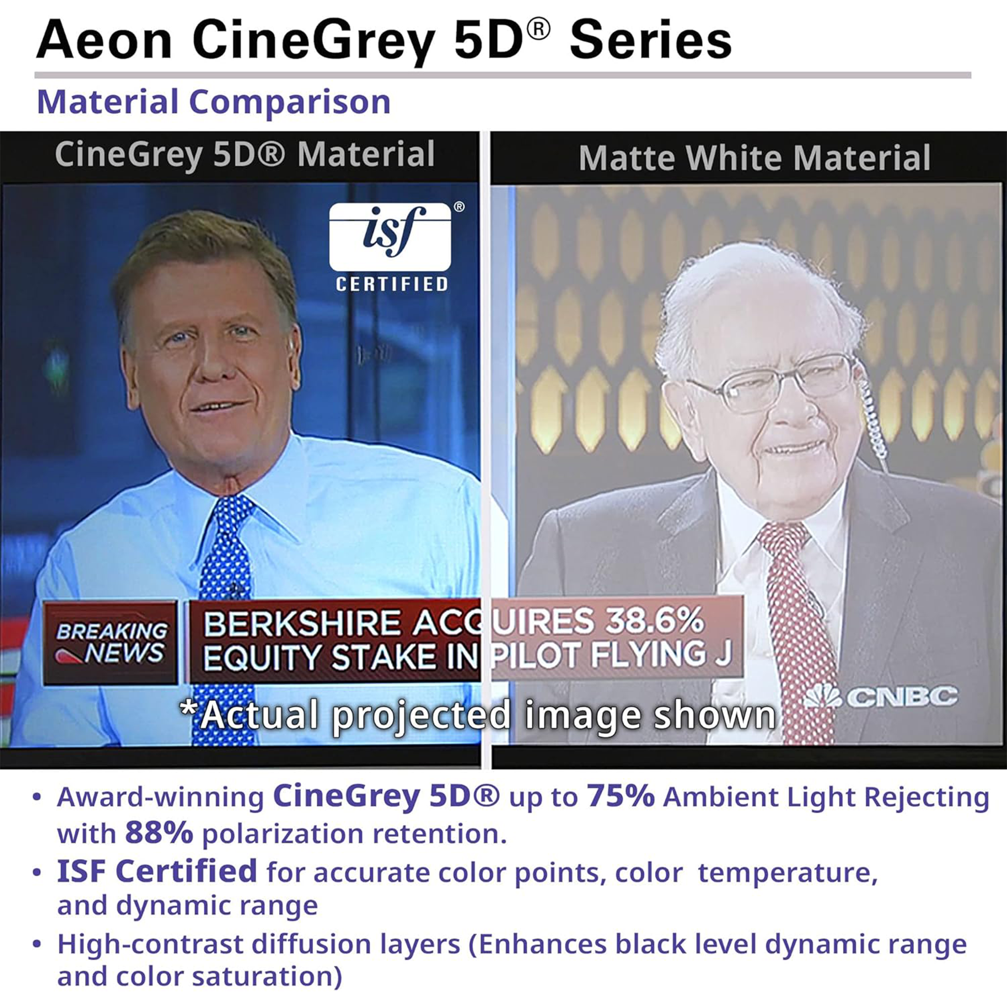 Elite Screens Aeon CineGrey 5D® Series 123" Fixed Frame Projection Screen