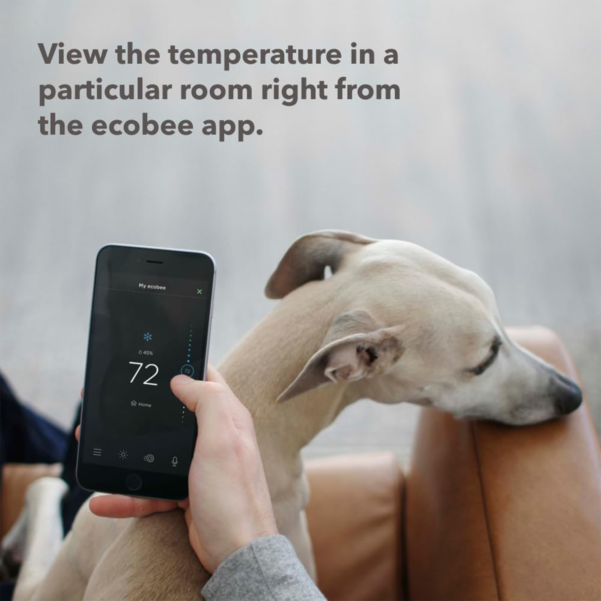ecobee SmartSensor (2-Pack)