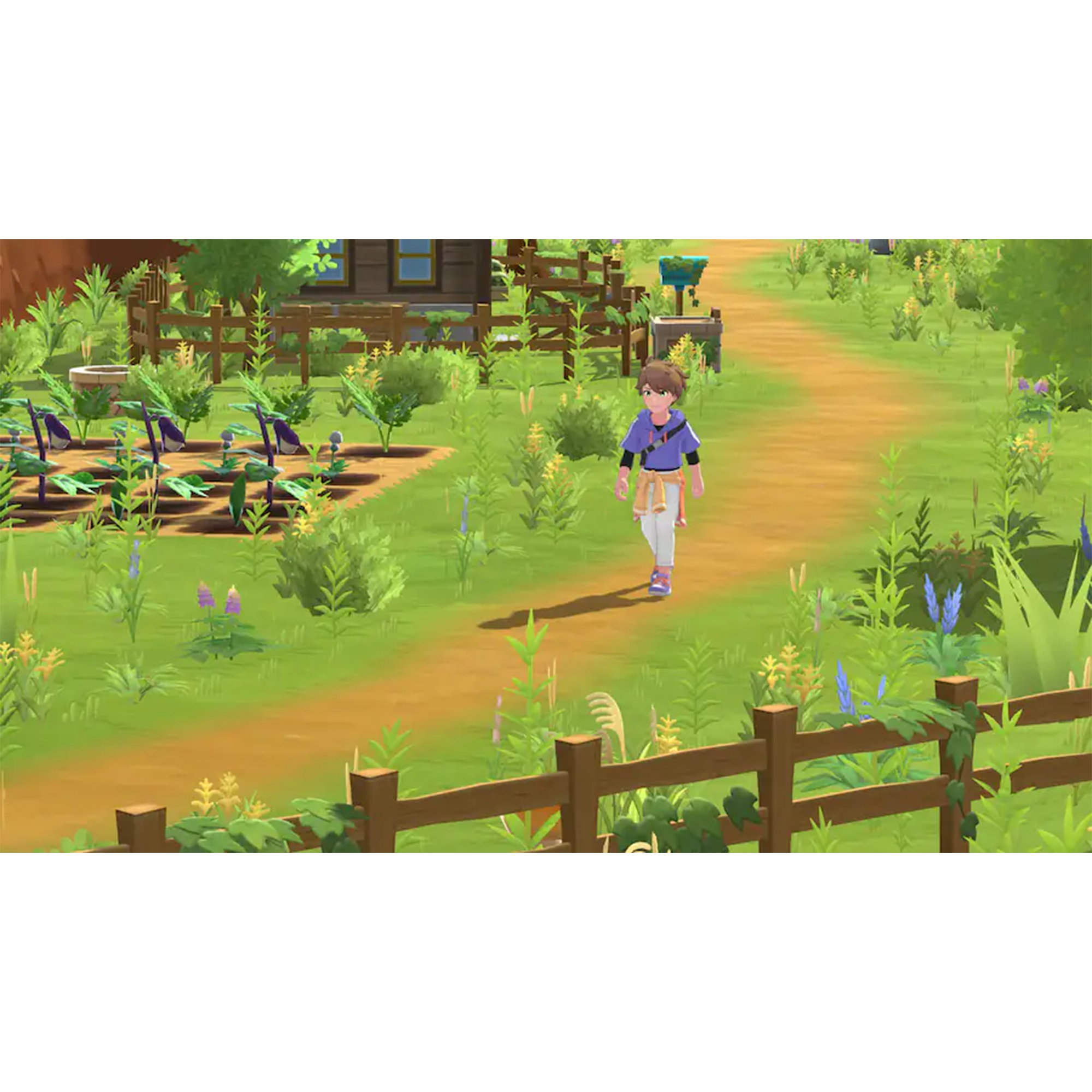 Harvest Moon: Home Sweet Home Special Edition - PlayStation 5