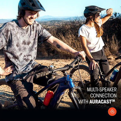 JBL Flip 7 Portable Waterproof Bluetooth Speaker (Black)