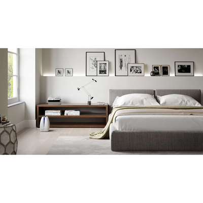 Airfree Lotus Mold & Bacteria Destroying Filterless Air Purifier with Night Light