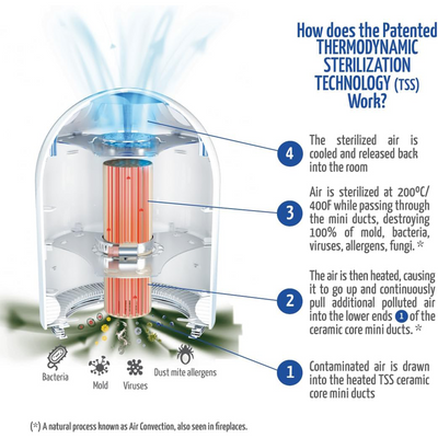 Airfree Lotus Mold & Bacteria Destroying Filterless Air Purifier with Night Light