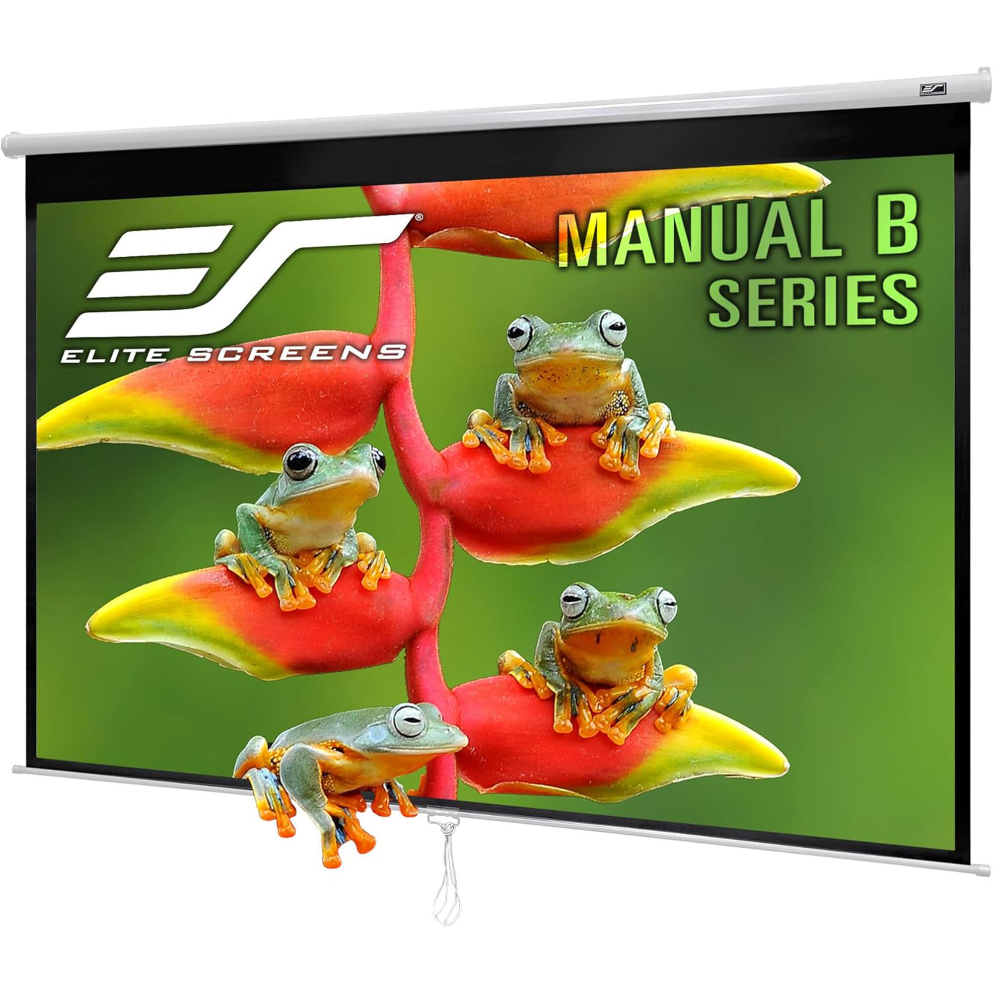 Elite Screens Manual B Series 100" Projection Screen - White
