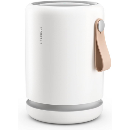 Molekule Air Mini+ Smart Air Purifier with PECO-HEPA Tri-Power Filter