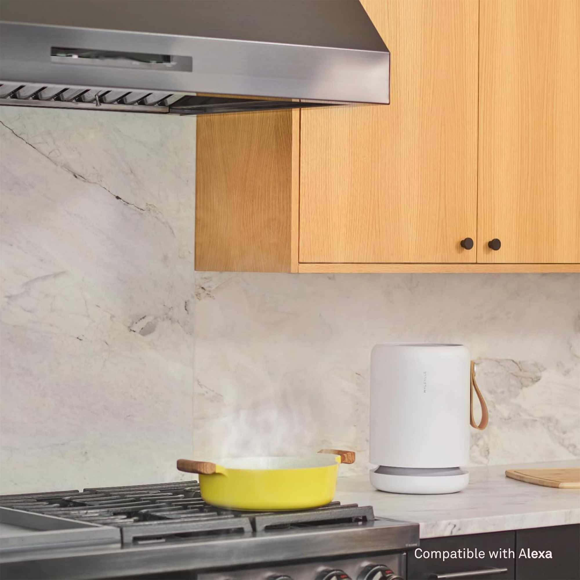 Molekule Air Mini+ Smart Air Purifier with PECO-HEPA Tri-Power Filter