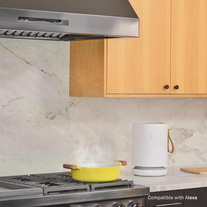 Molekule Air Mini+ Smart Air Purifier with PECO-HEPA Tri-Power Filter