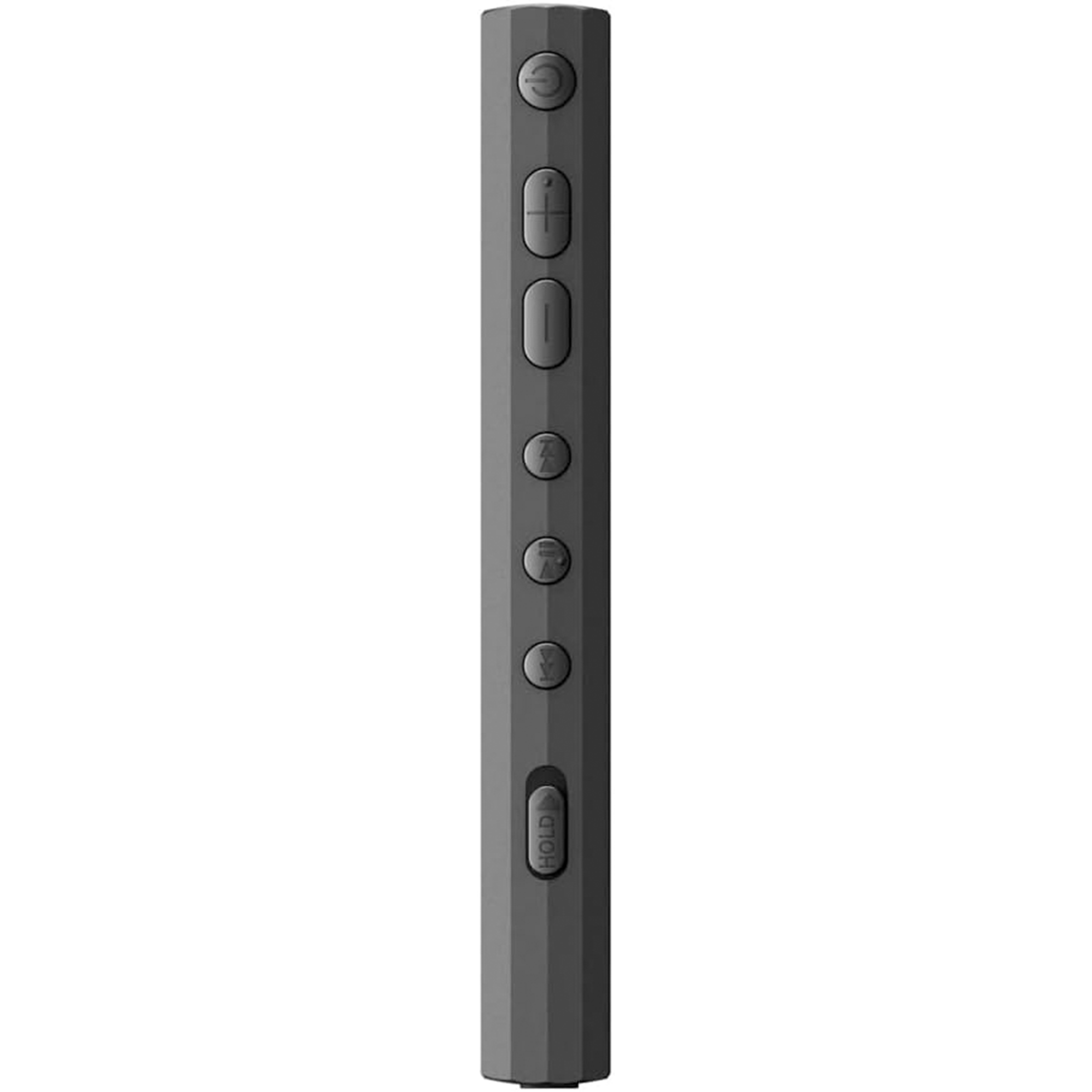 Sony NW-A306 Walkman A Series High-Resolution Digital Audio Player (Black)