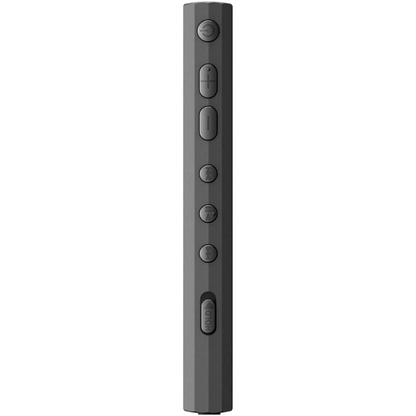 Sony NW-A306 Walkman A Series High-Resolution Digital Audio Player (Black)