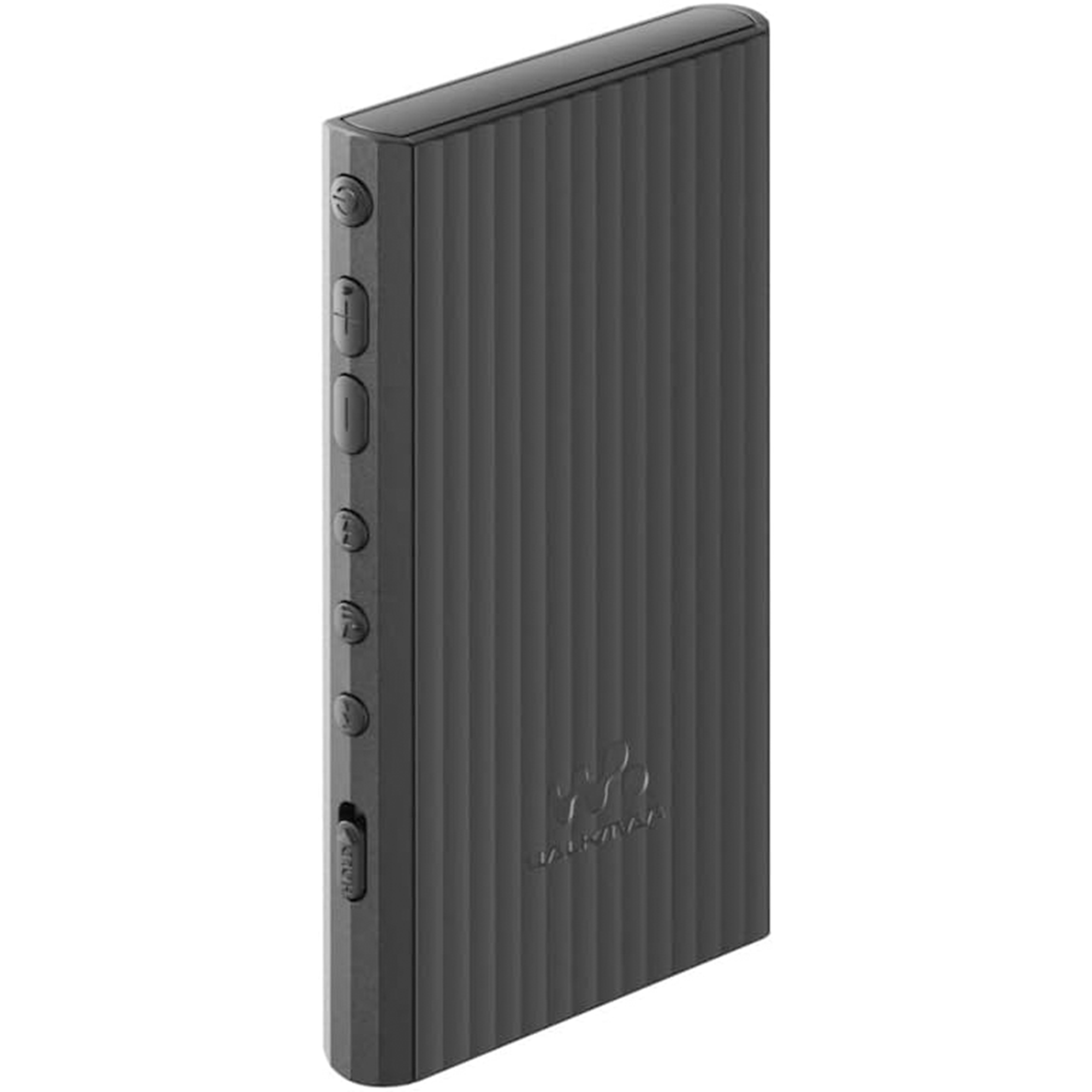 Sony NW-A306 Walkman A Series High-Resolution Digital Audio Player (Black)