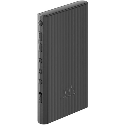 Sony NW-A306 Walkman A Series High-Resolution Digital Audio Player (Black)