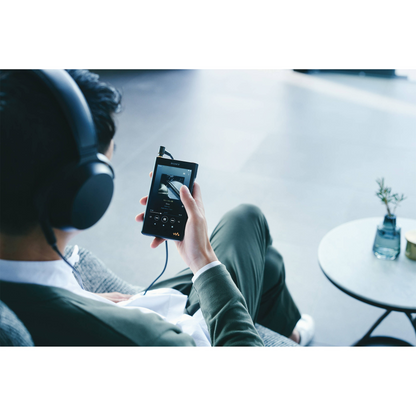 Sony NW-WM1AM2 Walkman Digital Music Player