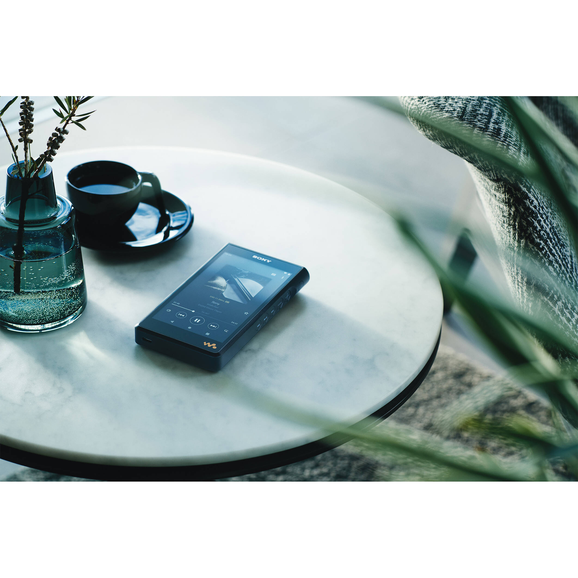 Sony NW-WM1AM2 Walkman Digital Music Player