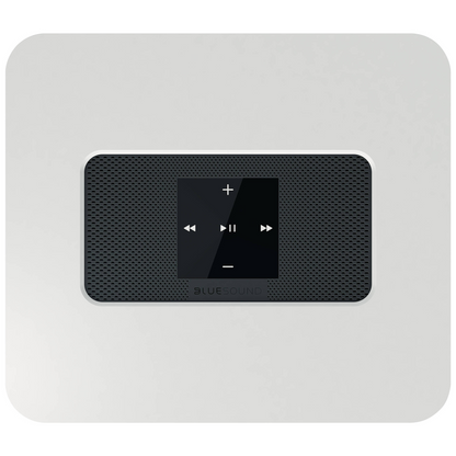 Bluesound VAULT 2i Network Audio Player with 2TB HDD and CD Ripper (White)