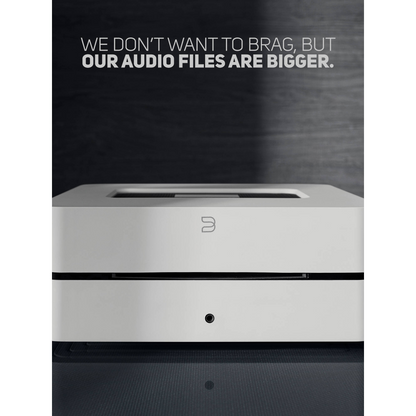 Bluesound VAULT 2i Network Audio Player with 2TB HDD and CD Ripper (White)