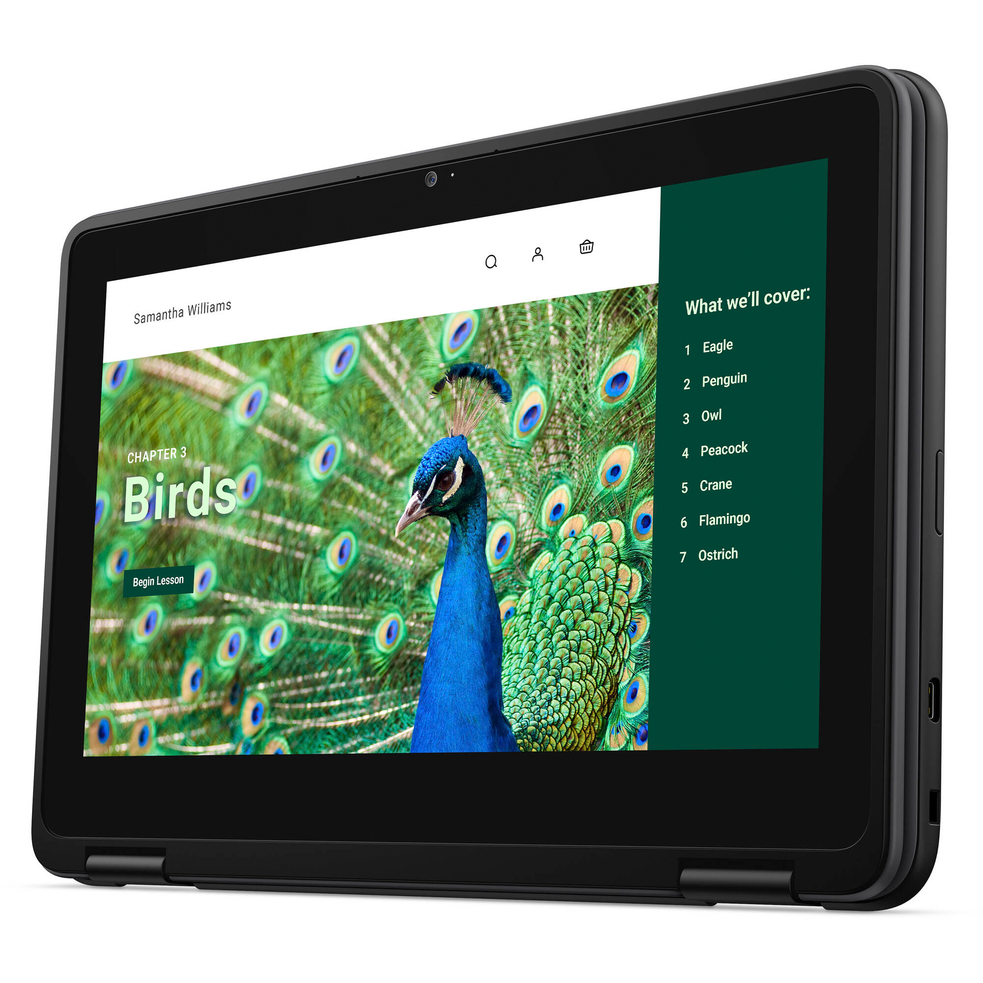Dell Chromebook 3000 3120 11.6" Touchscreen Convertible 2 in 1 Chromebook - HD - 60 Hz - Intel N-Series N100 - 4 GB RAM- 64 GB Flash Memory - English (US) Keyboard
