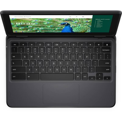 Dell Chromebook 3000 3120 11.6" Touchscreen Convertible 2 in 1 Chromebook - HD - 60 Hz - Intel N-Series N100 - 4 GB RAM- 64 GB Flash Memory - English (US) Keyboard