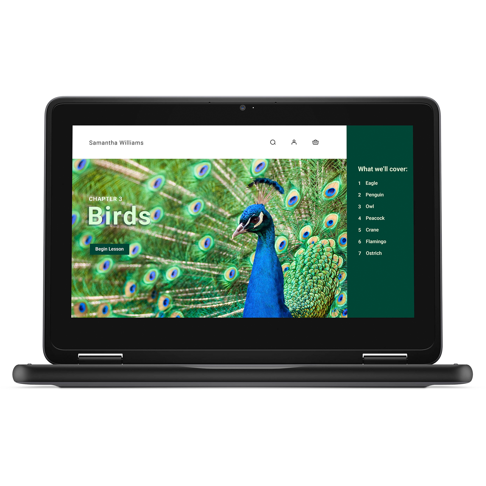 Dell Chromebook 3000 3120 11.6" Touchscreen Convertible 2 in 1 Chromebook - HD - 60 Hz - Intel N-Series N100 - 4 GB RAM- 64 GB Flash Memory - English (US) Keyboard