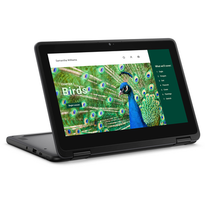 Dell Chromebook 3000 3120 11.6" Touchscreen Convertible 2 in 1 Chromebook - HD - 60 Hz - Intel N-Series N100 - 4 GB RAM- 64 GB Flash Memory - English (US) Keyboard