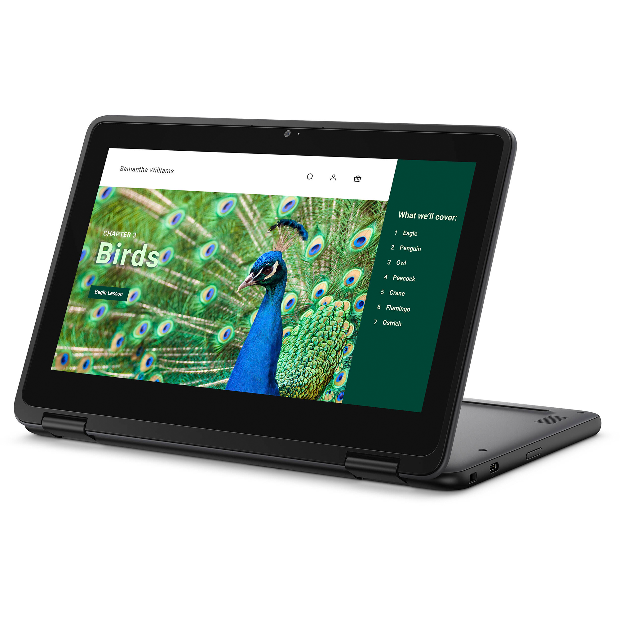 Dell Chromebook 3000 3120 11.6" Touchscreen Convertible 2 in 1 Chromebook - HD - 60 Hz - Intel N-Series N100 - 4 GB RAM- 64 GB Flash Memory - English (US) Keyboard