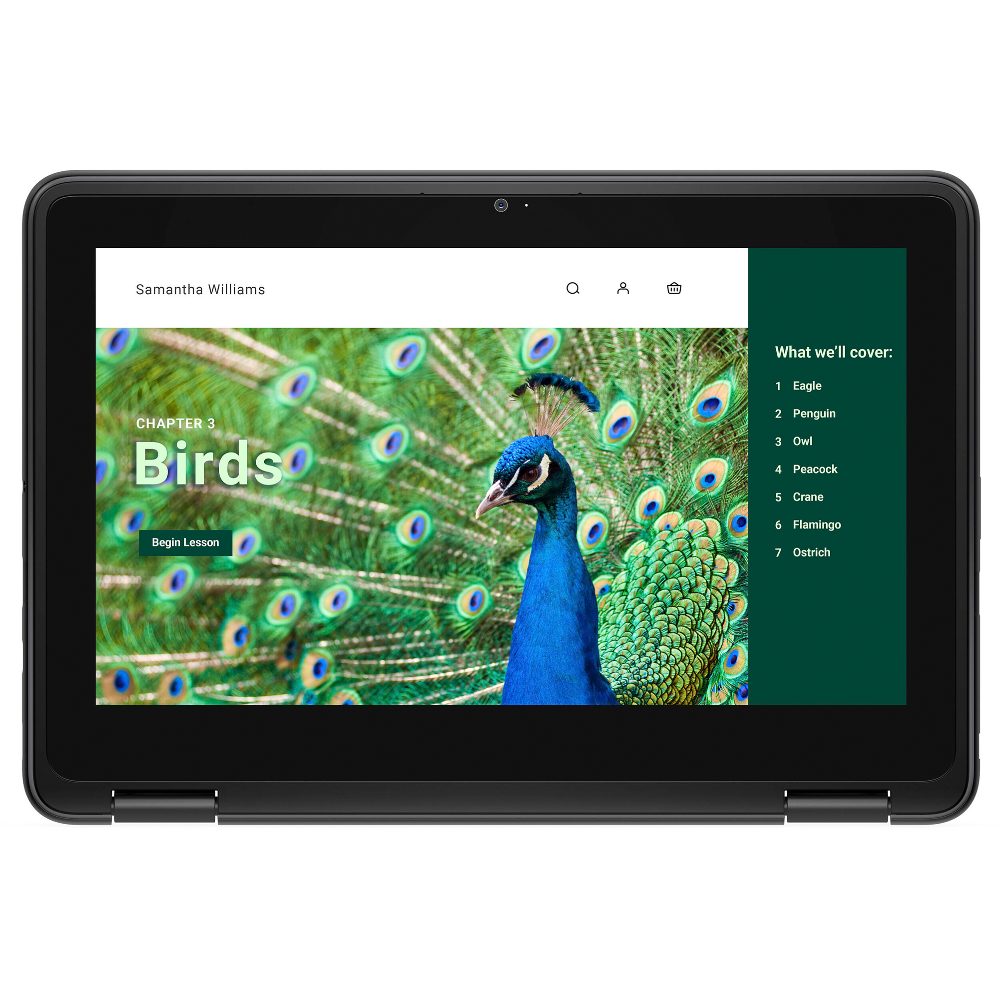 Dell Chromebook 3000 3120 11.6" Touchscreen Convertible 2 in 1 Chromebook - HD - 60 Hz - Intel N-Series N100 - 4 GB RAM- 64 GB Flash Memory - English (US) Keyboard